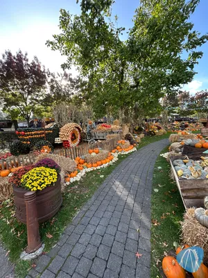 Foto aus Toverland von Stefan