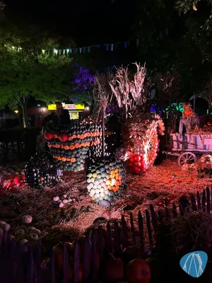 Foto aus Toverland von Stefan