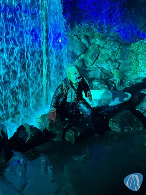 Foto aus Toverland von Stefan
