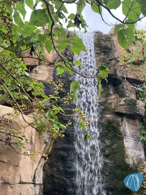 Foto aus Phantasialand von levibuchmueller