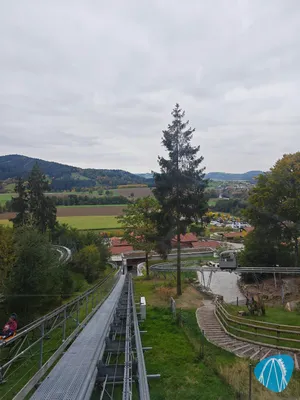 Foto aus Edelwies von AffigerAffe