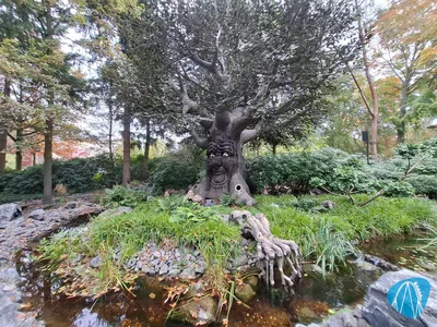 Foto aus Efteling von Stefan95