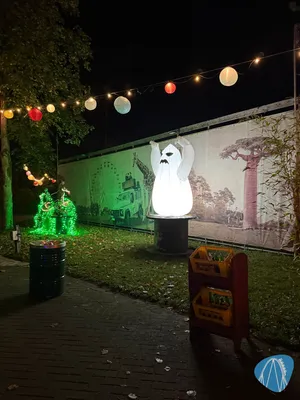 Foto aus Serengeti-Park von Babyboomer