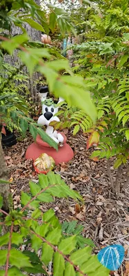 Foto aus Parc Astérix von t.mueller2510