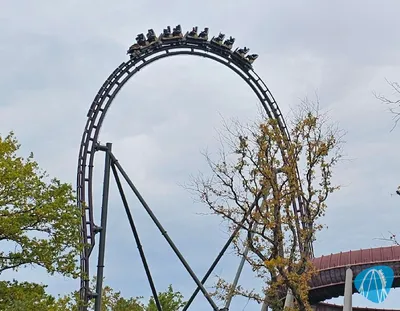 Foto aus Parc Astérix von t.mueller2510