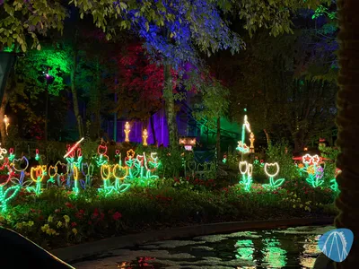 Foto aus HANSA-PARK von Schmax