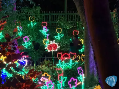 Foto aus HANSA-PARK von Schmax