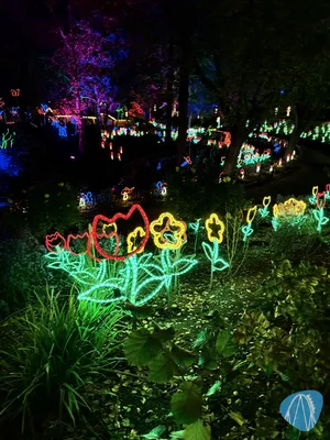 Foto aus HANSA-PARK von Babyboomer