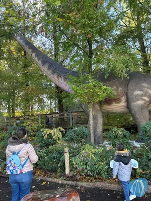 Foto aus Pairi Daiza von hdcthemepark