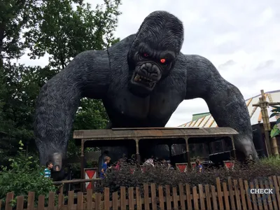 Foto aus Bobbejaanland von Highnoon
