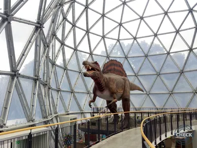 Foto aus Saurierpark von Freizeitpark7