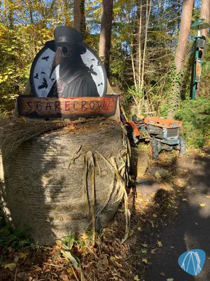 Foto aus Plopsaland Deutschland von chpetei