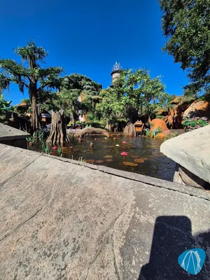 Foto aus Walt Disney World - Magic Kingdom Park von Chuckschnorres