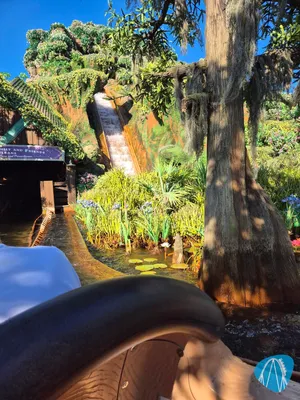 Foto aus Walt Disney World - Magic Kingdom Park von Chuckschnorres