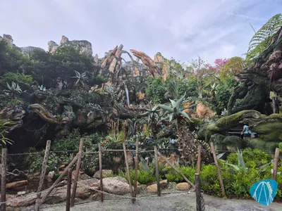 Foto aus Disney's Animal Kingdom von Chuckschnorres