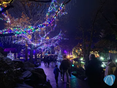 Foto aus Parc Astérix von dark
