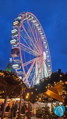 Foto aus Potsdam - Weihnachtszauber von may-the-harness-be -with-you