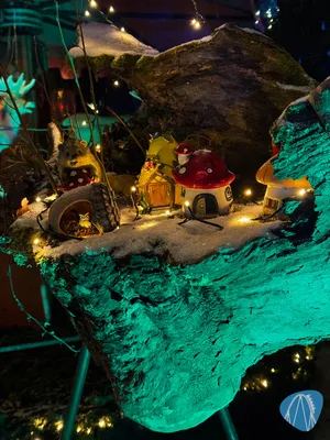 Foto aus Europa-Park von Diddy