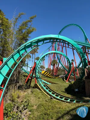 Foto aus Busch Gardens Tampa Bay von Schmax