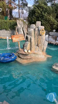 Foto aus Europa-Park von jeson