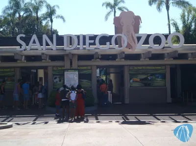 Foto aus San Diego Zoo von feronimo