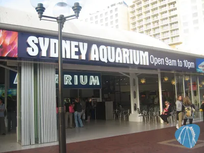 Foto aus SEA LIFE Sydney von feronimo