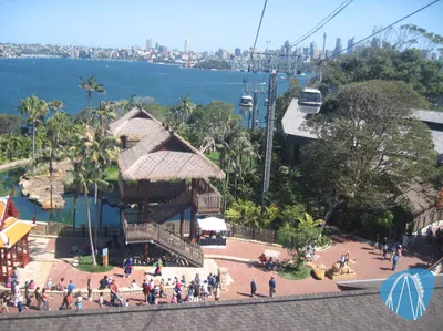 Foto aus Taronga Zoo Sydney von feronimo