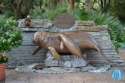 Foto aus Seaworld Orlando von feronimo