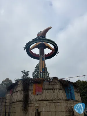 Foto aus Bellewaerde von oscorp6662