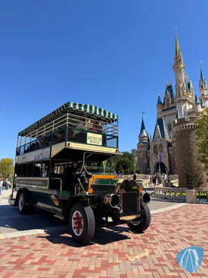 Photo from Tokyo Disneyland / 東京ディズニーランド by derzornigezorn