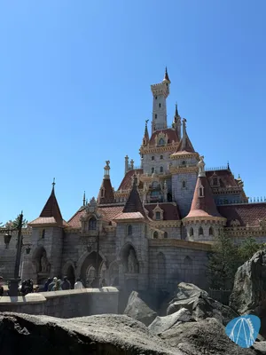 Photo from Tokyo Disneyland / 東京ディズニーランド by derzornigezorn