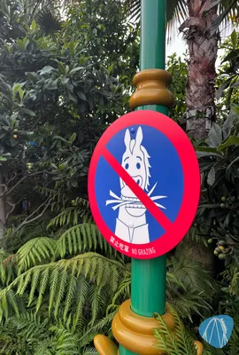 Foto aus Shanghai Disneyland von Diddy