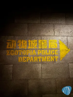 Foto aus Shanghai Disneyland von Diddy