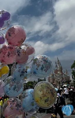 Foto aus Shanghai Disneyland von Diddy