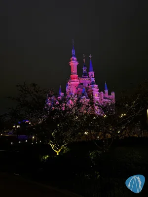 Foto aus Shanghai Disneyland von Diddy