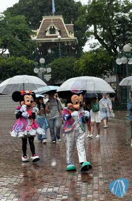 Foto aus Hong Kong Disneyland / 香港迪士尼乐园 von Diddy