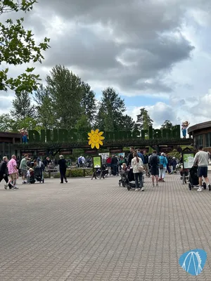 Foto aus Djurs Sommerland von Astaroth73