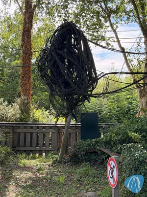 Foto aus Walibi Holland von Marco