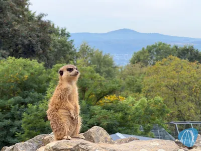 Foto aus Zoo Neuwied von Highnoon