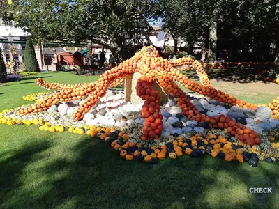Foto aus Europa-Park von Kurenai