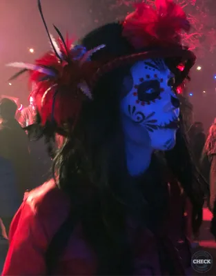 Foto aus Toverland von Sonny