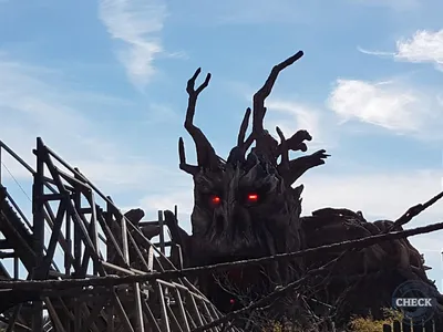 Foto aus Heide Park von ruud88