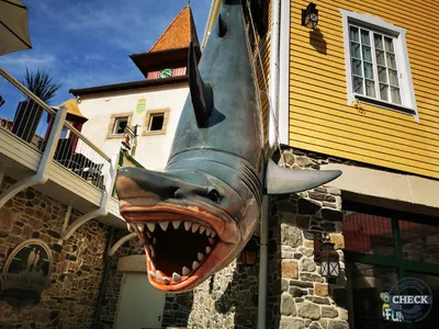 Foto aus Europa-Park von Kurenai