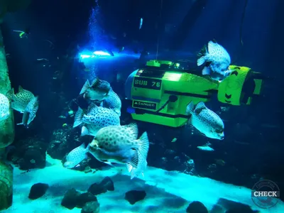 Foto aus LEGOLAND® Deutschland Resort von Kurenai