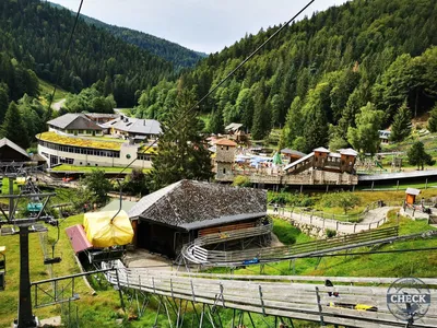 Foto aus Steinwasen Park von Kurenai
