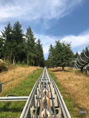 Foto aus Edelwies von Sessel