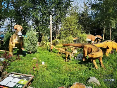 Foto aus Dinoland Zwolle von Kurenai