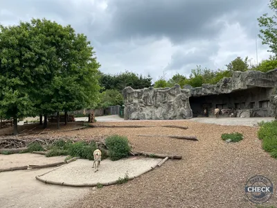 Foto aus ZOOM Erlebniswelt von Highnoon