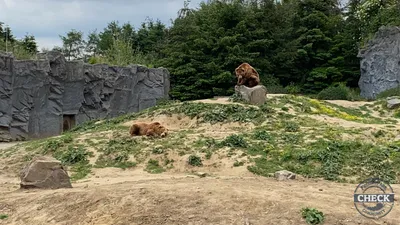 Foto aus ZOOM Erlebniswelt von Highnoon