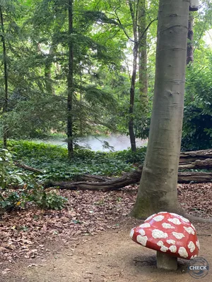 Foto aus Efteling von MayoFrauMel